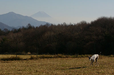 d0107929_19532241.jpg