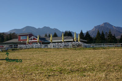 d0107929_1954390.jpg