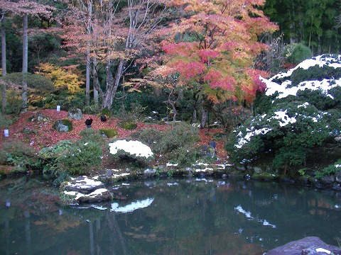 松島_c0077531_14222679.jpg