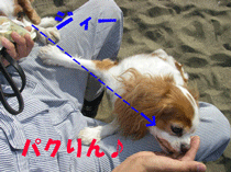 c0136838_18462498.gif