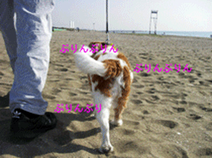 c0136838_1846521.gif