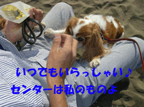 c0136838_1846843.gif
