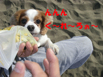 連休最終日！_c0136838_1849397.gif