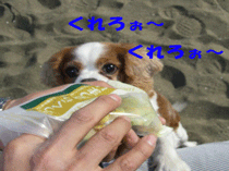 連休最終日！_c0136838_18494177.gif