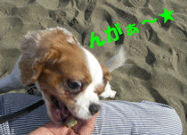 c0136838_18511843.gif