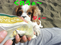 連休最終日！_c0136838_18532712.gif