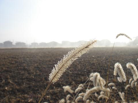 いつかの冬の日_a0014840_22405059.jpg