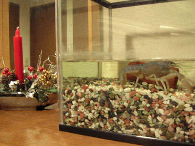 c0096342_20123746.jpg