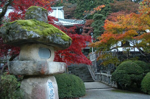 大雄山　最乗寺の紅葉－１_e0043548_23274667.jpg