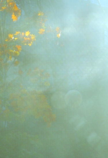 e0126350_1930597.jpg