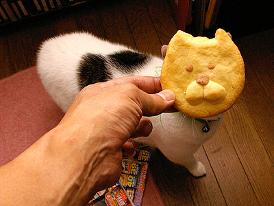 「か」がクッキーを作ったから・・・_a0028451_23483944.jpg