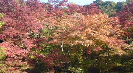 c0105957_23141739.jpg
