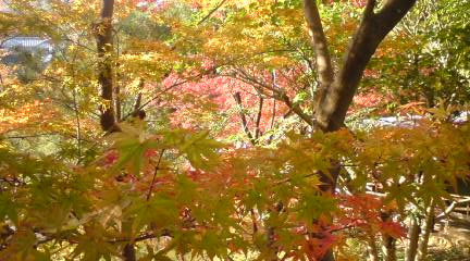 c0105957_2315688.jpg