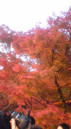 c0105957_23251387.jpg