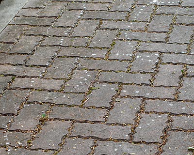e0035757_032183.jpg