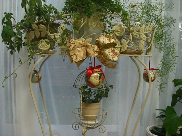 d0111558_209691.jpg
