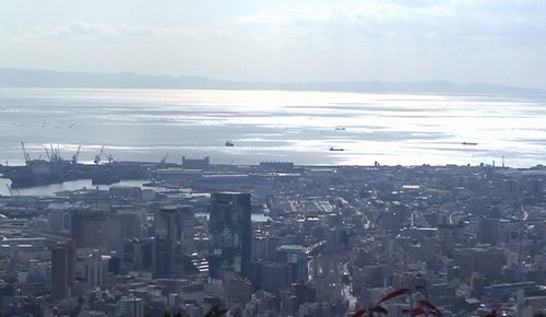 d0083265_11263243.jpg