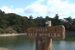 d0083265_16385891.jpg