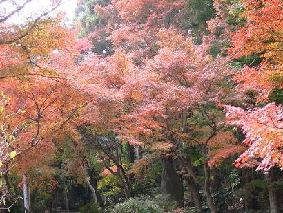 さいごの礼拝_f0032265_23555661.jpg