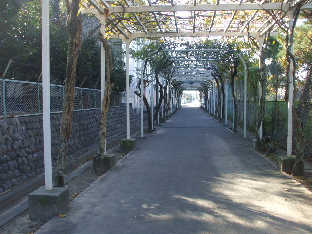 c0138868_19152021.jpg
