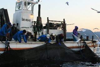 忘年旅行in房総魚尽くしツアー_a0029769_23373144.jpg