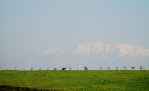 f0052569_1584082.jpg