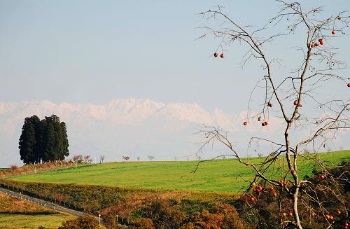 f0052569_1584877.jpg