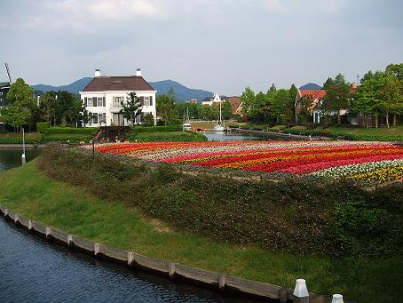 a0029473_15365.jpg
