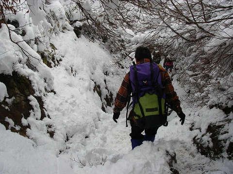 またまた武奈ヶ岳（栃生～ブナ～イン谷口）_c0002874_17534590.jpg