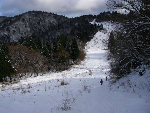 またまた武奈ヶ岳（栃生～ブナ～イン谷口）_c0002874_1821575.jpg