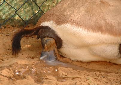 e0066474_2312868.jpg