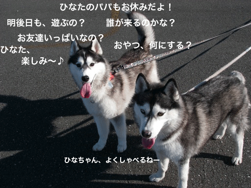 d0087675_17402982.gif