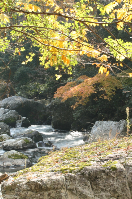 c0148777_93562.jpg