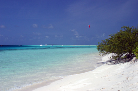 Four Seasons Resort Maldives at Landaa Giraavaru 第３日--砂州へ_c0147790_1954971.jpg