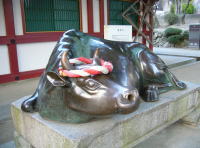 f0008692_21363.jpg