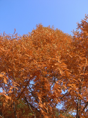 b0119493_10524655.jpg