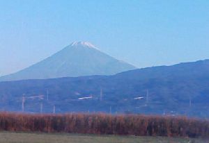 c0133096_1447531.jpg
