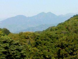 c0133096_1533021.jpg