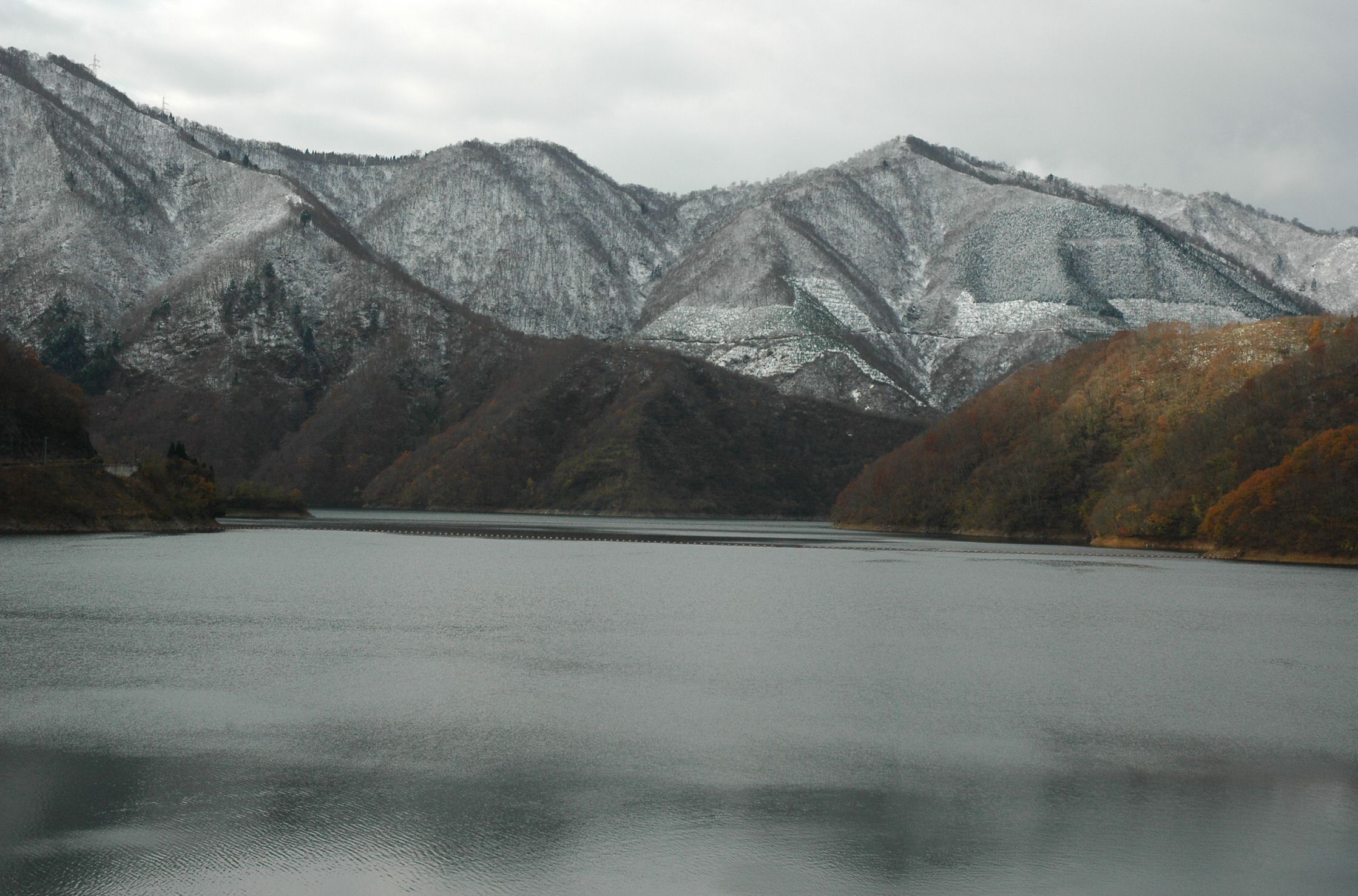 f0086397_145807.jpg