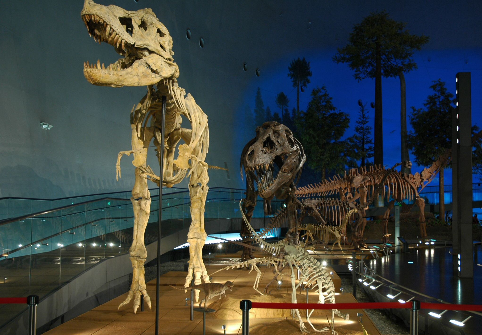 f0086397_14584792.jpg