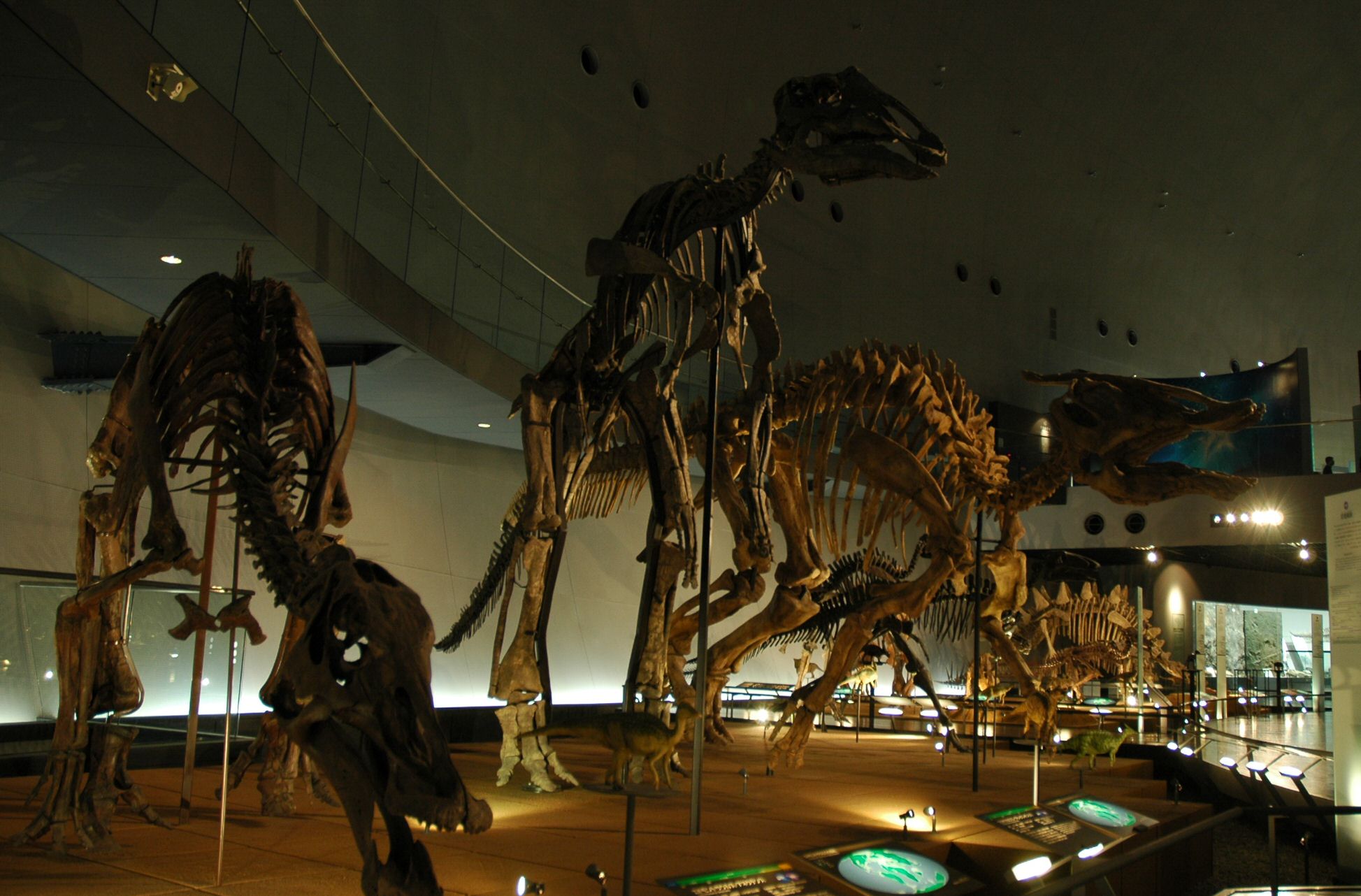 f0086397_14592561.jpg