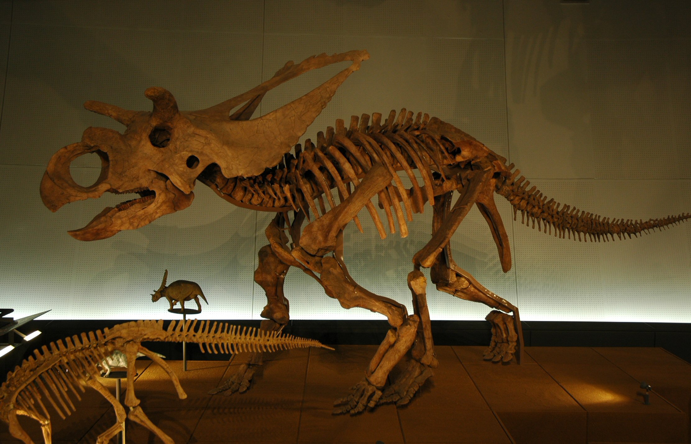 f0086397_14594655.jpg
