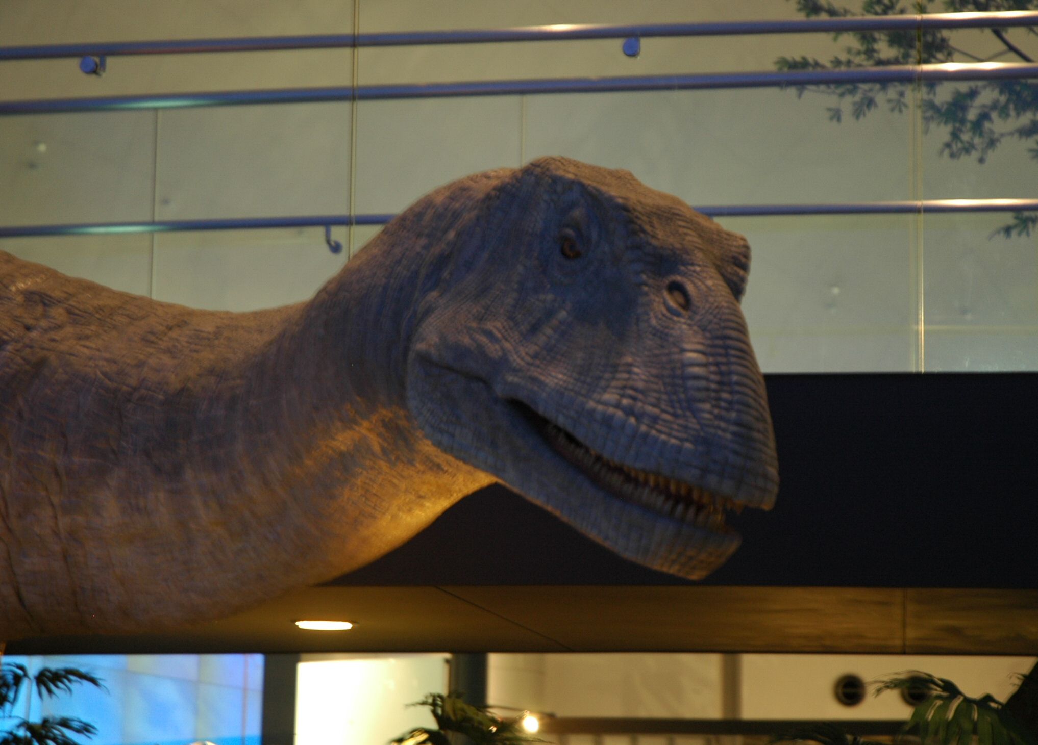 f0086397_1459974.jpg