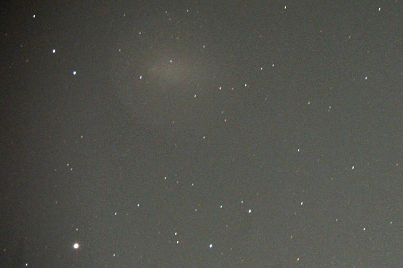 モズ/昨夜の望月_b0024798_712114.jpg