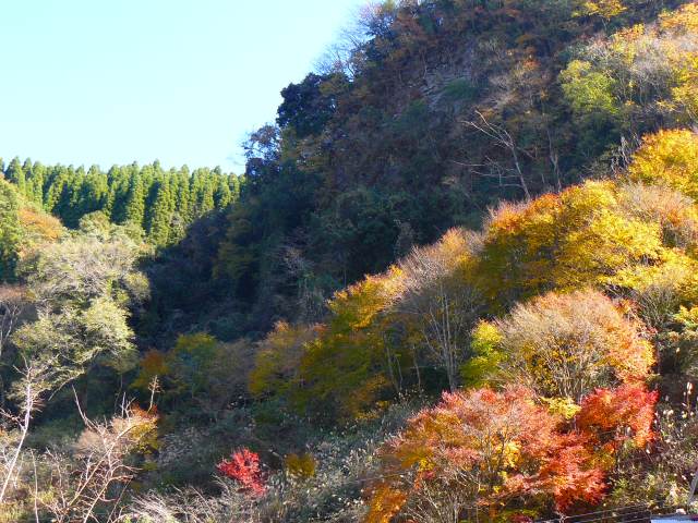 紅葉の残り。_b0025101_050839.jpg