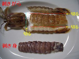 見た目は悪いが シャコ最高 お い し い おじさんのつぶやき日記