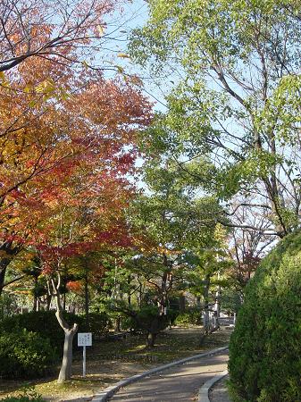 c0134408_1383824.jpg