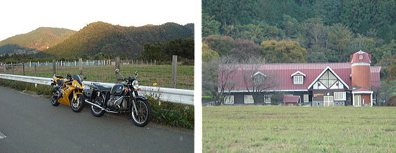 d0027711_1727339.jpg