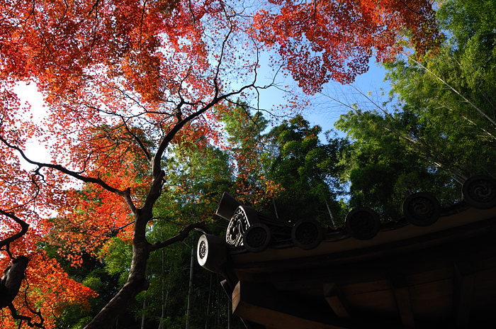2007紅葉巡り・直指庵 其の一_f0032011_20373438.jpg