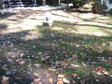 f0017613_20403983.jpg